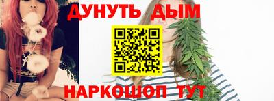 гашик Дмитров